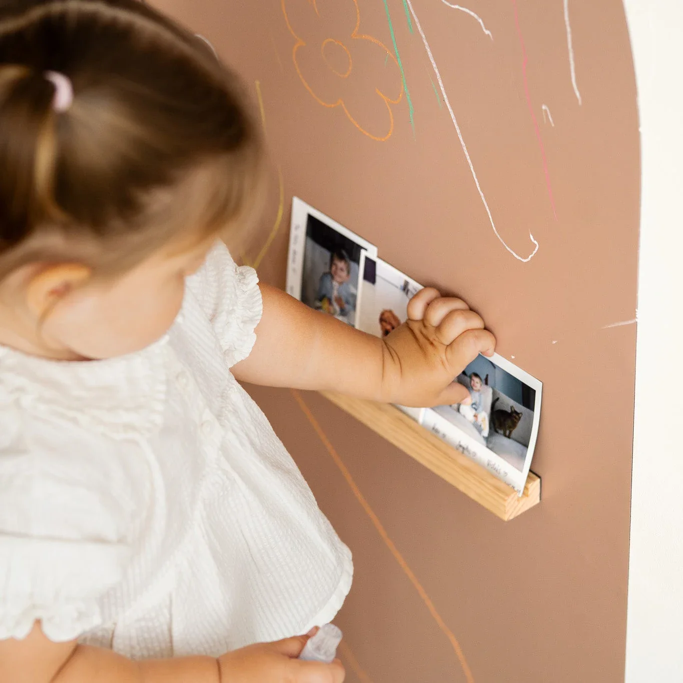 Treasure Shelf - Image 6