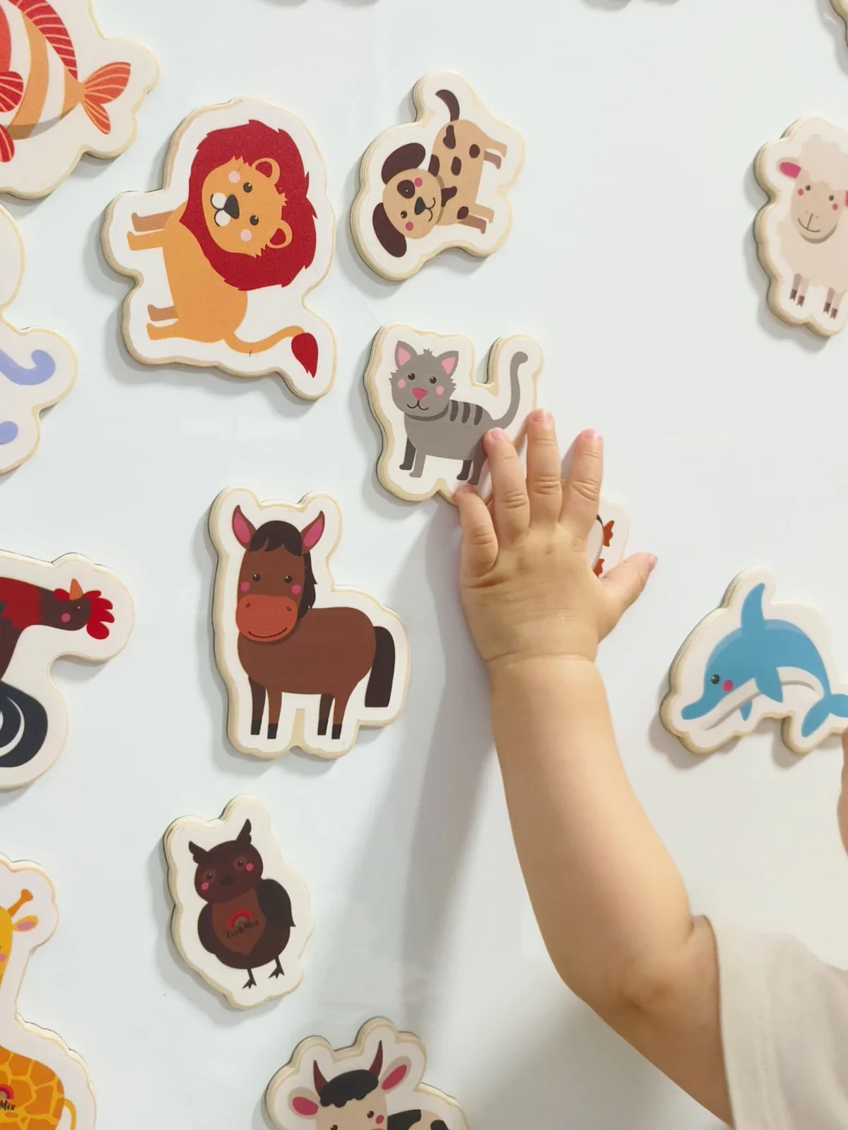 Wooden Magnetic Playset (BESTSELLER) - Image 3